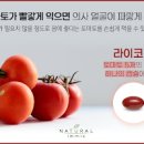 토마토 칼로리 방울토마토 이미지