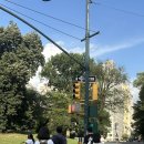 센트럴파크 4 | [공지] [뉴욕 웨딩스냅] GONGSON FILM 공손필름 후기 - 센트럴파크/웨스트빌리지/브루클린 4시간 코스