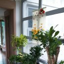 힐링스토리펜션 이미지