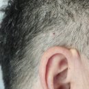 엘브이의원 이미지