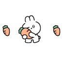 먹골로데오김밥 이미지