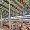 왕성축산 이미지