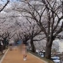 영주1공인중개사사무소 이미지