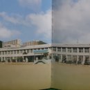 광영초교병설유치원 이미지