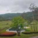 회기천 | 버드우드cc 라운딩 후기. 천안지역 명문 양잔디 골프장 버드우드컨트리클럽의 버드코스, 우드코스 홀별...