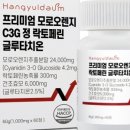 오렌지빠 이미지