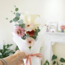 스펠드플레르 네이버블로그