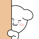 스누독 네이버블로그