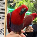 테이블에이 이미지