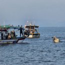 보성경찰서앞 이미지