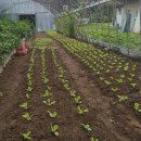 가평계곡호박펜션 이미지