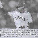 NC스포츠 이미지