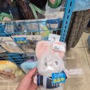 햄스터 라운지 | 202509 히로시마 여행(1)