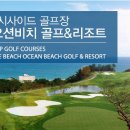 오션비치 이미지