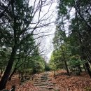 천주사 입구 | 🌸 창원 천주산 진달래꽃 등산 후기 | 개화시기, 코스, 주차 정보