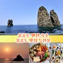 페퍼민트민박 | 울릉도 숙소. 숙박 울릉도 펜션.민박 올레펜션 울릉도 특산물 택배