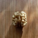 호두까기 이미지