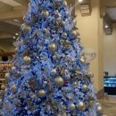 백암1천 이미지