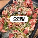 오리당 | 천안 오리당 맛집