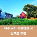 알지니포레스트