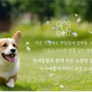 동물병원 누리에뜰 네이버블로그