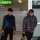 댄디탑