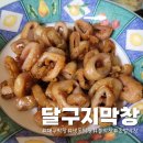 막창대세 이미지