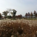 낙동강체육공원 축구장4 이미지