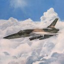 (주)코라드 | [1/72] Hobby Master F-105D Thunderchief