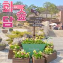 원앙뜰 | 화담숲 벚꽃 화담채 및 모노레일 예약, 코스, 구간 추천 총정리
