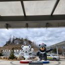 골프존파크 진부오대산점 | 정선 파크로쉬 실제 이용 후기｜그랜드 패밀리 스위트룸 · 웰니스 프로그램 · 수영장까지 알차게 즐긴...