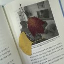 11월 4주