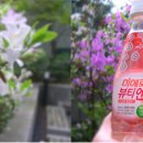 티파니PC 이미지