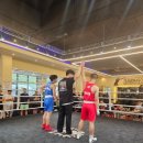 매탄 타이혼 이미지