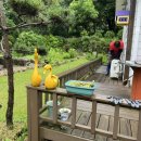 하너미로 이미지