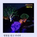 매일양식2