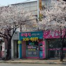 복돼지부동산공인중개사사무소 이미지