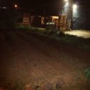 이안농장 이미지