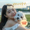 나라약국 이미지