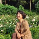 퇴직공무원협동조합