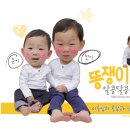청소쟁이 이미지