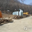 팔공산금화자연휴양림 이미지