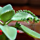 예당한의원 이미지