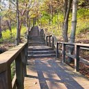 정재2공원 이미지