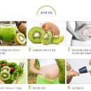 은혜농장2 이미지