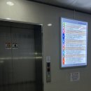 스타라인 | 다산점핑 다산 다이어트 제대로 되는 곳 라인점핑스타 솔직 후기