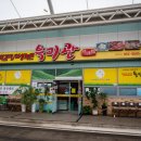 보성녹차떡갈비