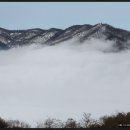 단비농장 이미지