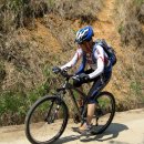 숲속의 둥지 이미지