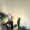 신대방1동주민센터 화장실 | 의정부 감성카페 추천 • 베이커리 맛집 칵투스베이커리 후기